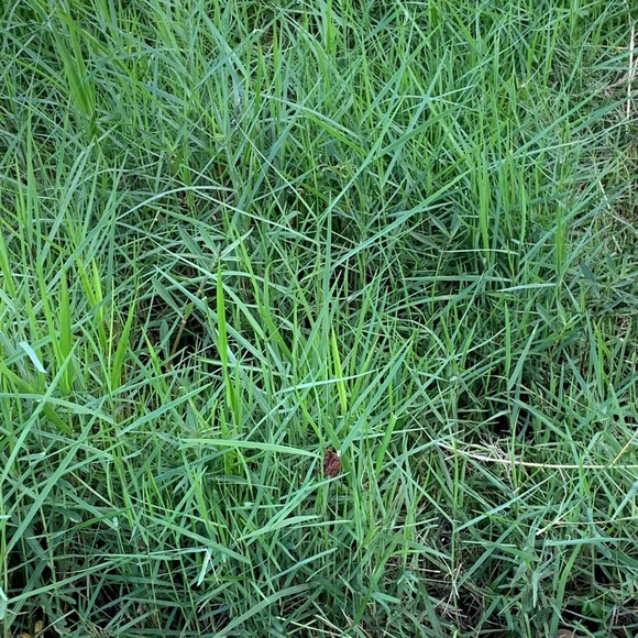 Meet your Posher, John - Picture 1 of 1